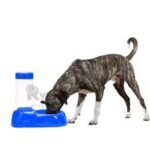 Dispensador de Agua Para Mascota