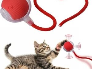 WhatsApp Image 2025-10-15 at 9.31.10 PM PELOTA INTERACTIVA DE MASCOTAS